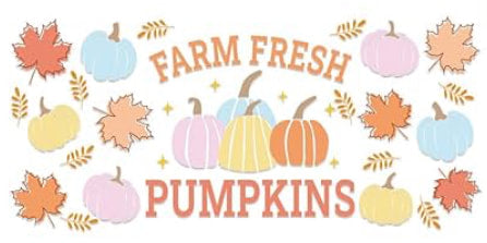 Farm Fresh Pumpkins