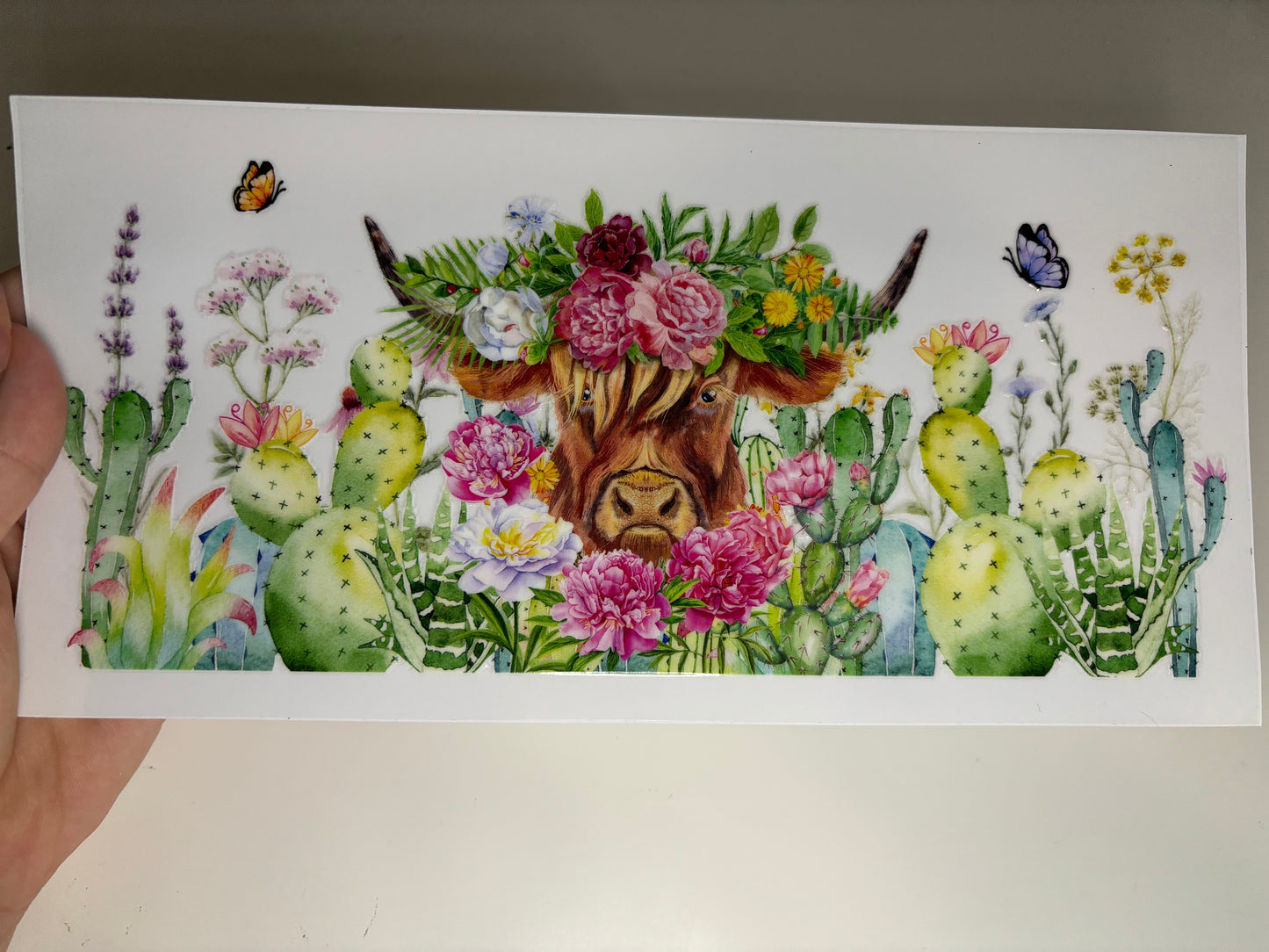 Cactus Cow