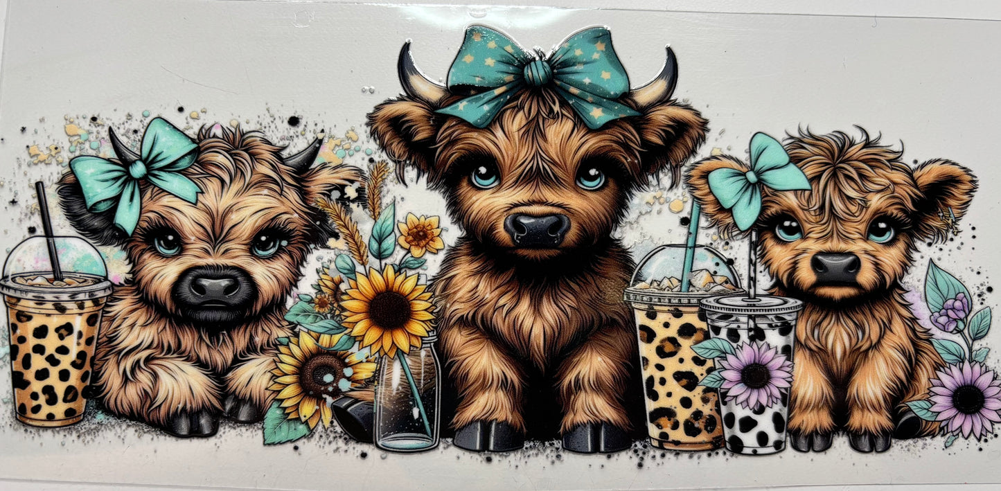 Teal Bow Cows