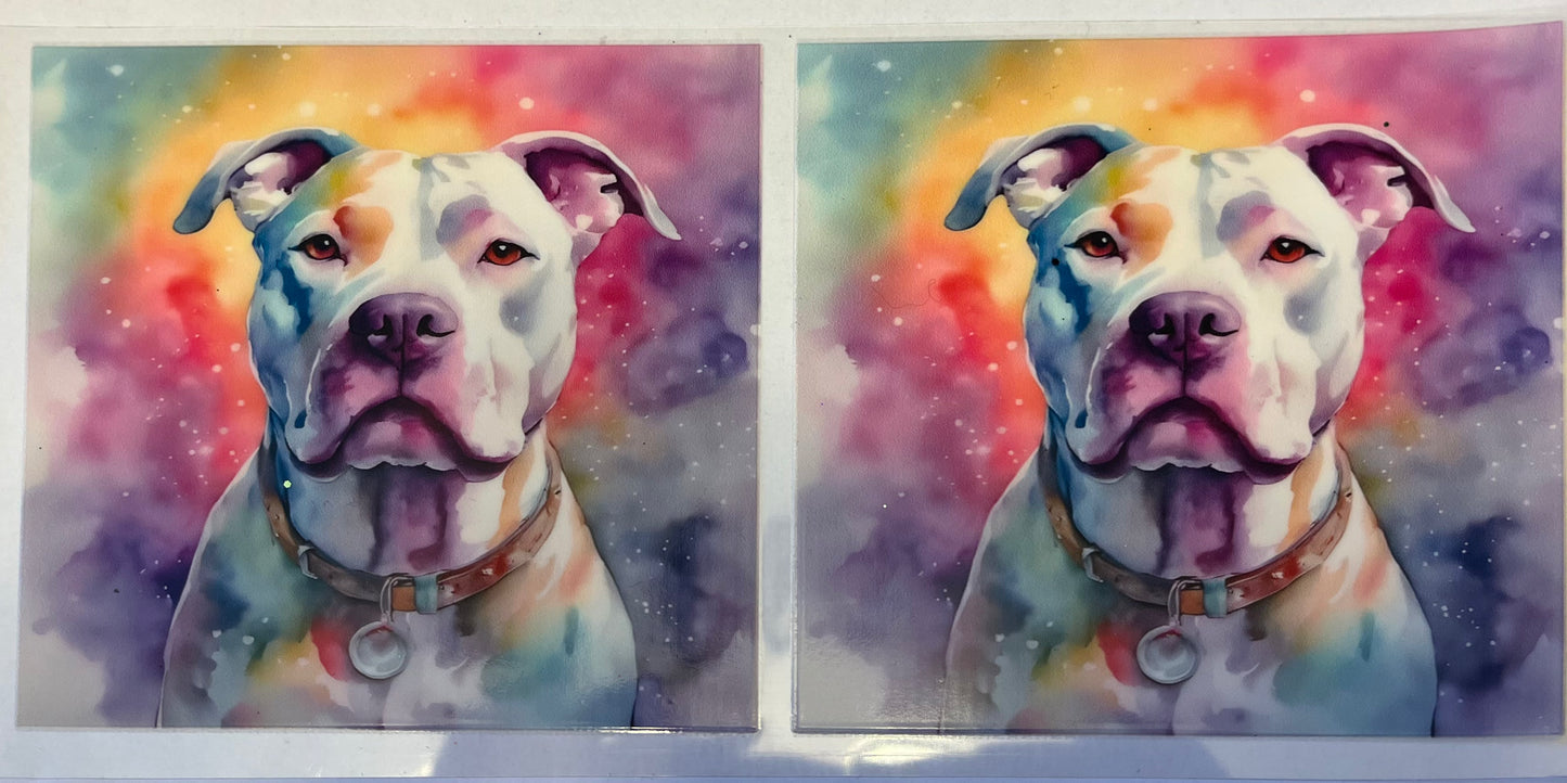 Apollo the Pitty in Watercolor