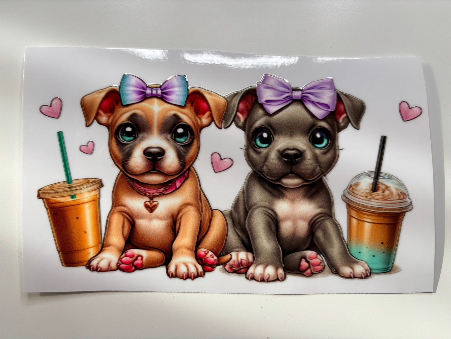 Baby Pitties