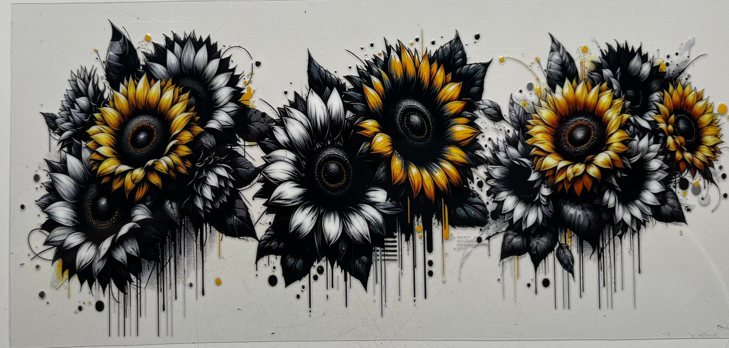 Black & Yellow Sunflower