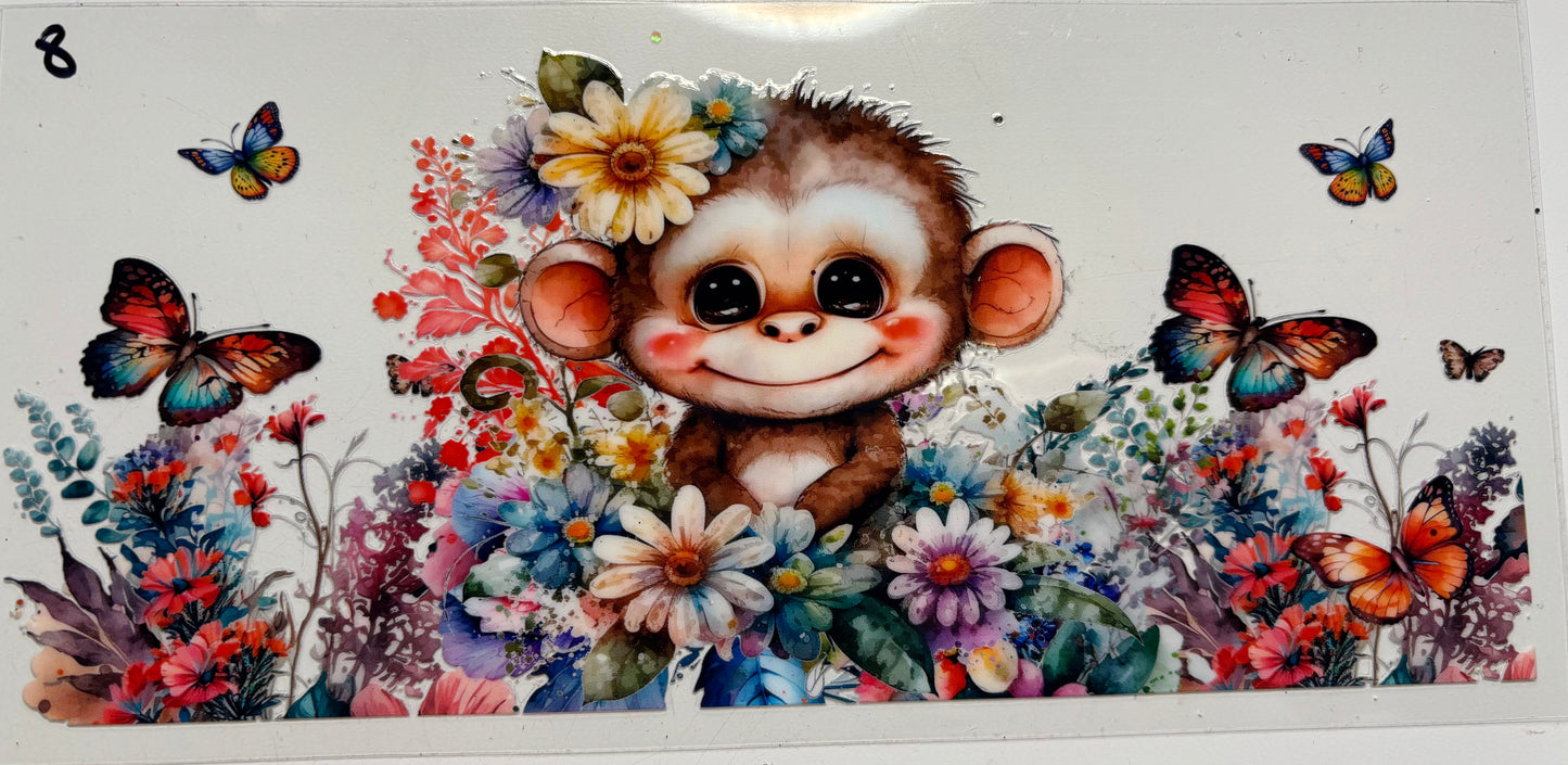 Baby Monkey