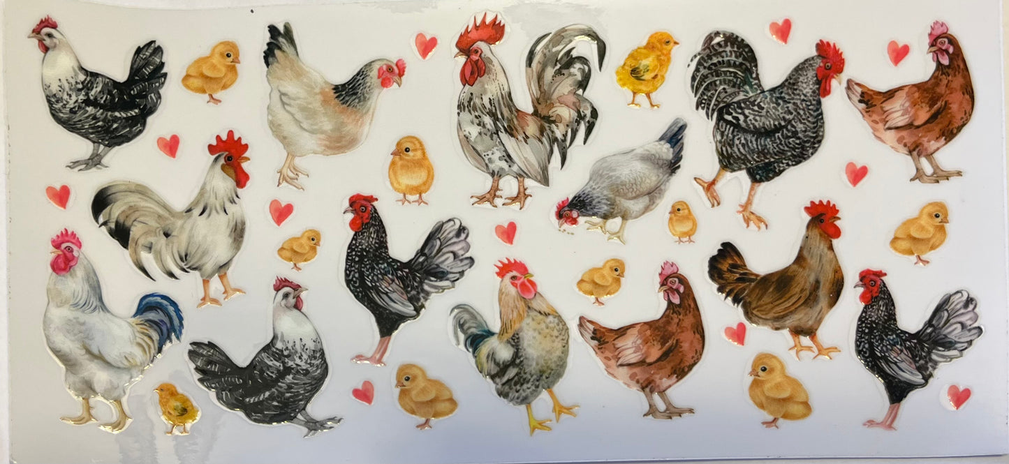 Hens and Baby Chicks