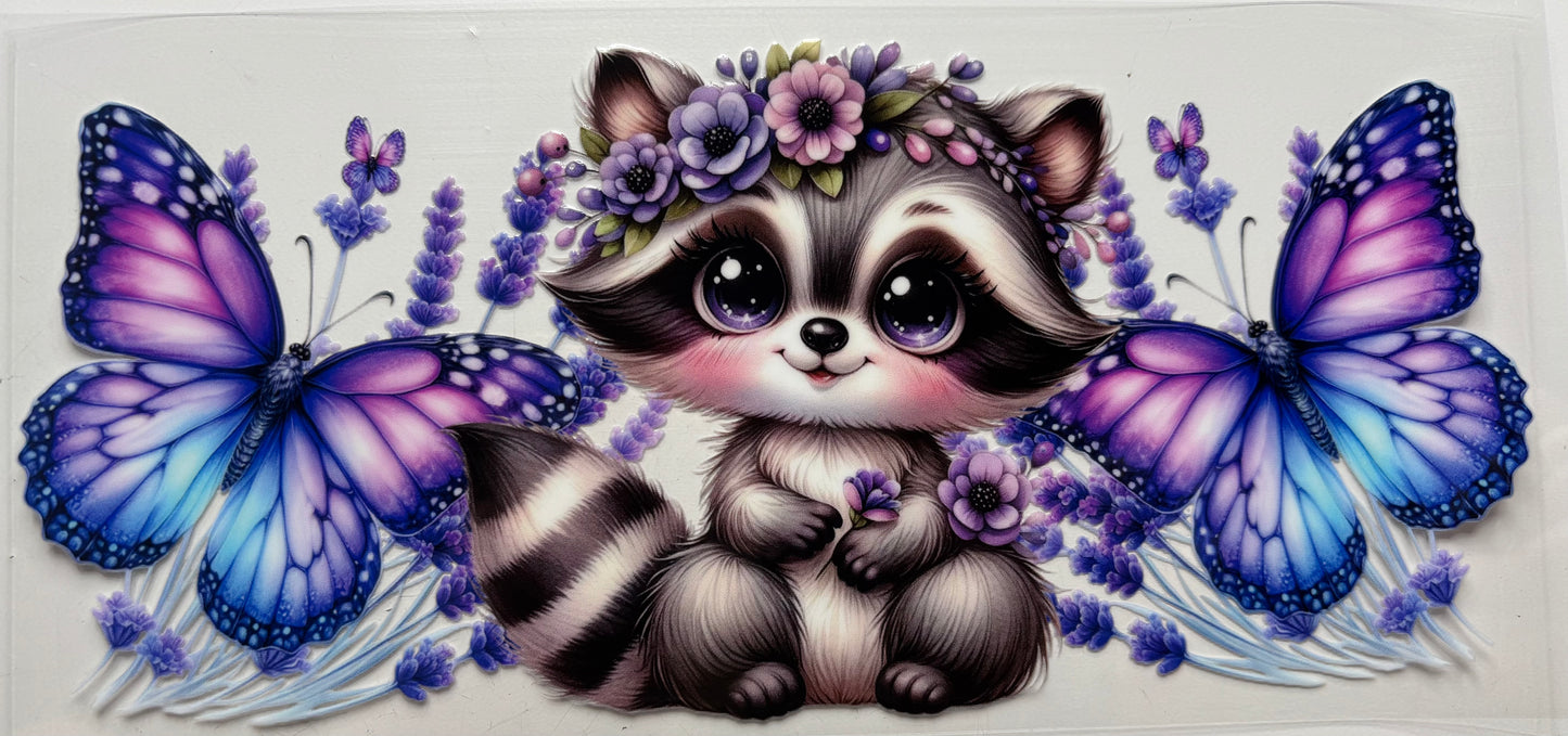 Baby Racoon