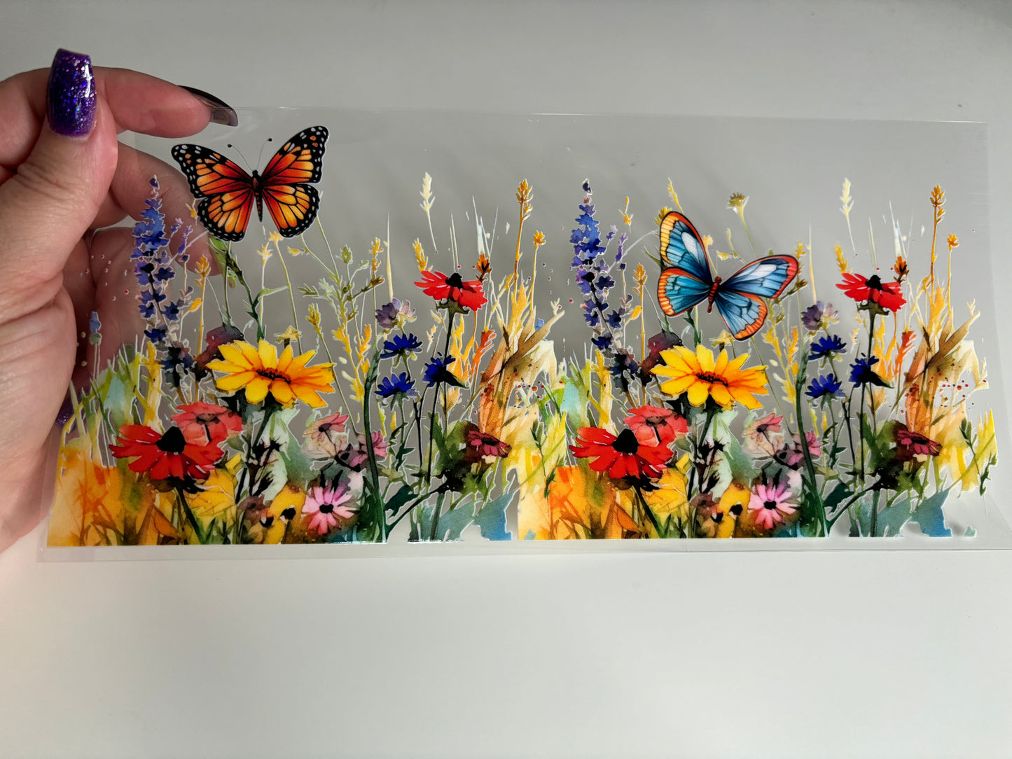 Butterfly Field