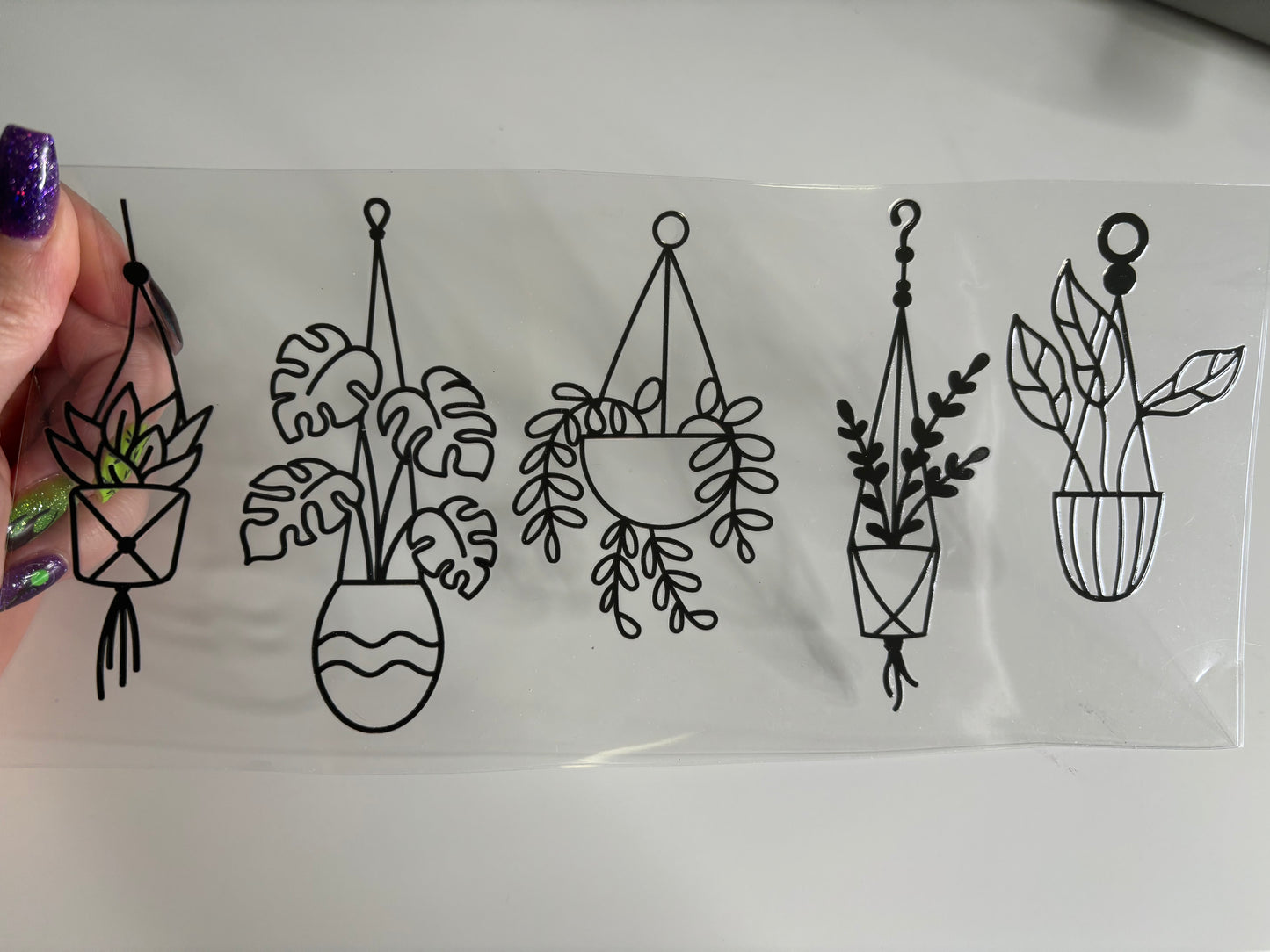 Hanging Plants