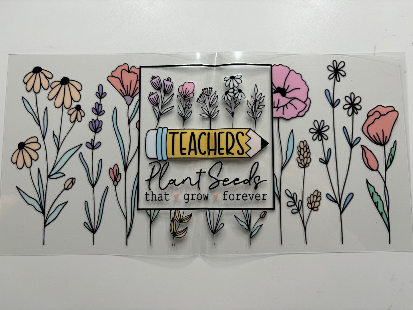 Teachers Plant Seeds