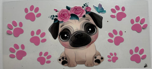 Pug