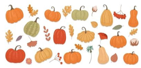 Colorful Pumpkins