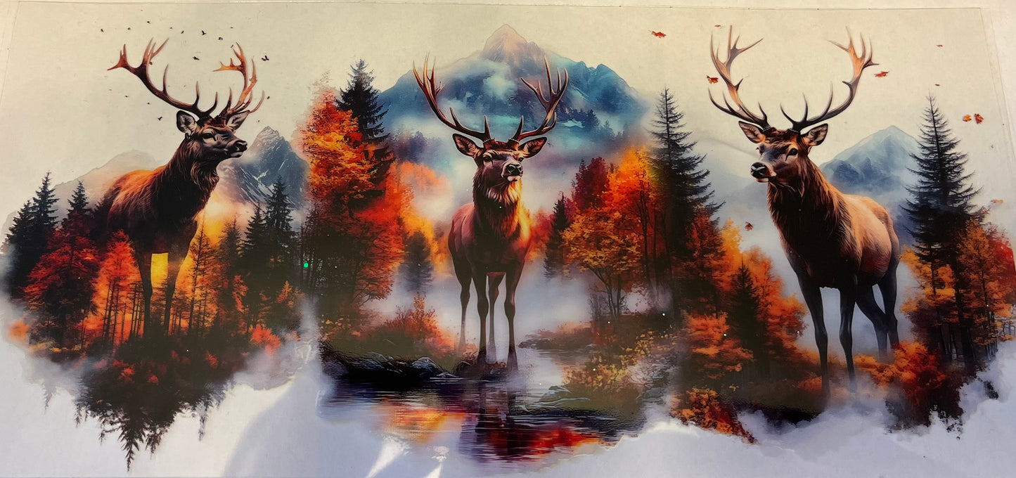 Moose Mountain