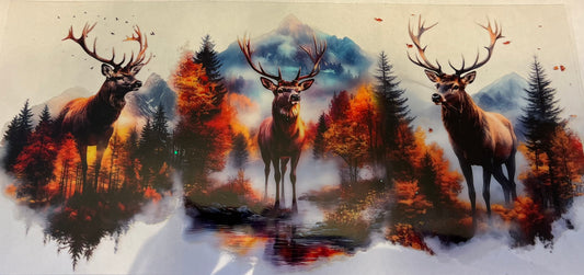 Moose Mountain