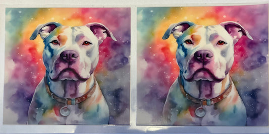 Apollo the Pitty in Watercolor