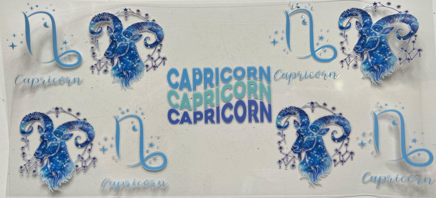 Capricorn ♑️