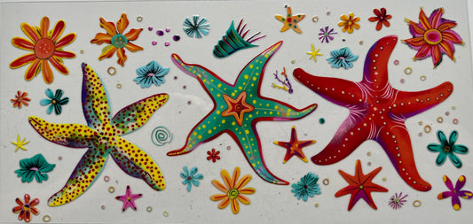 Colorful Starfish