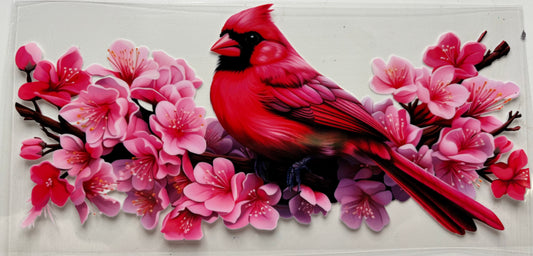 Cardinal