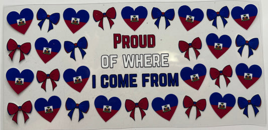 Proud of Where I Come From Haiti Joel