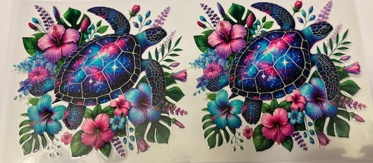 Galaxy the Sea Turtle