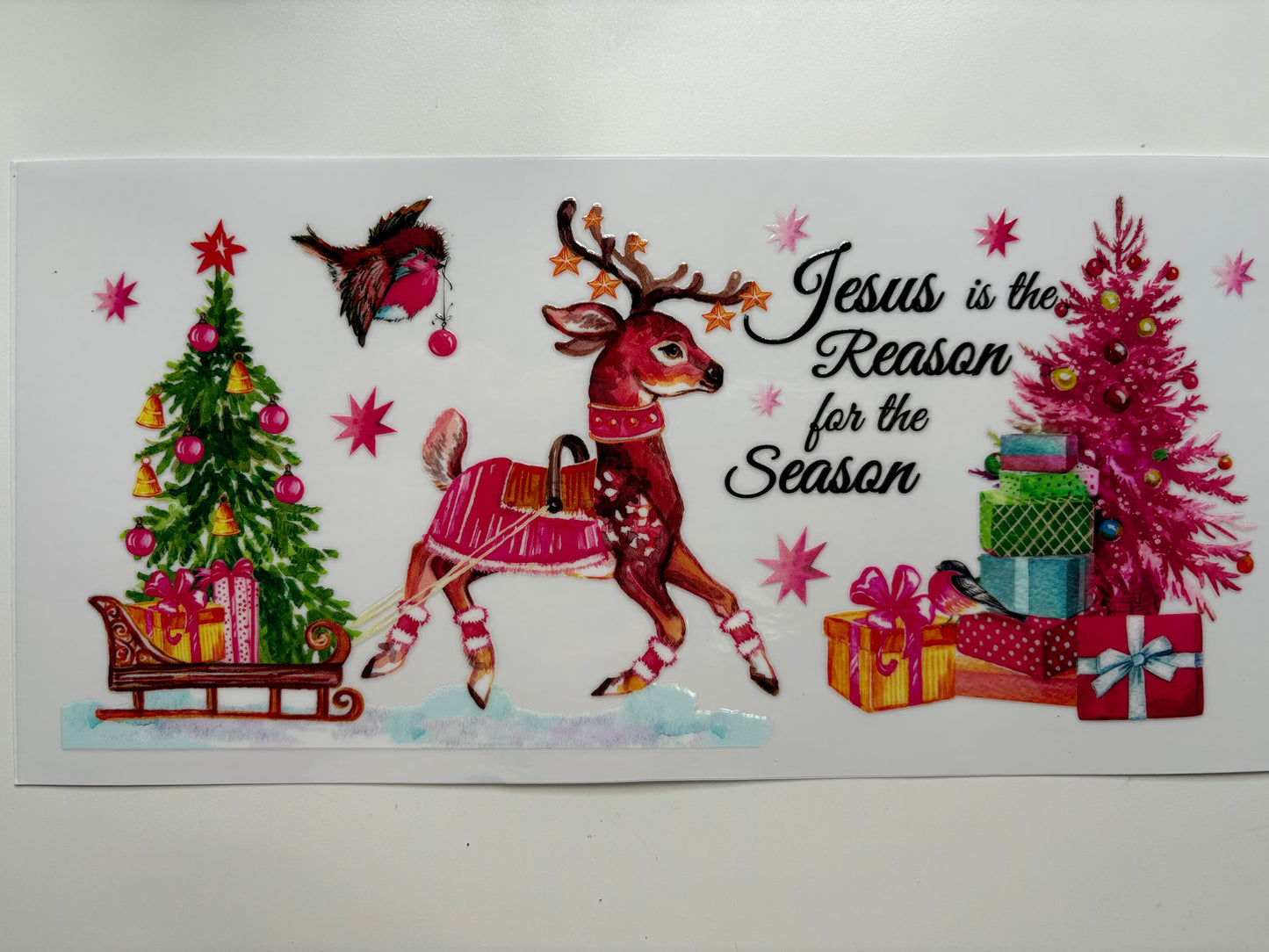Jesus is the Reason