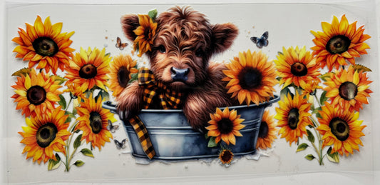 Cow in Sunflower Tub