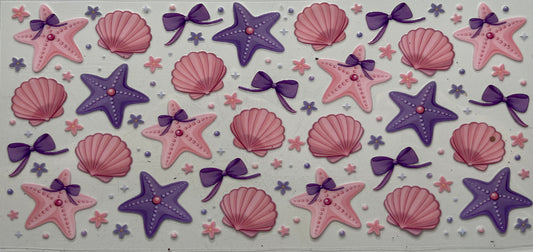 Bows Shells & Sea-stars
