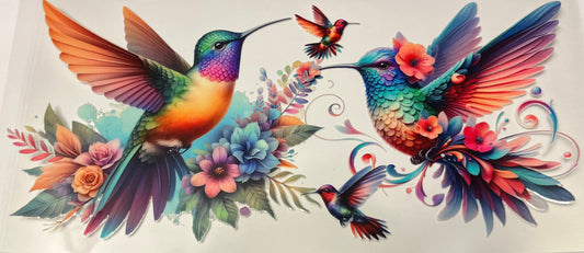Humming Birds