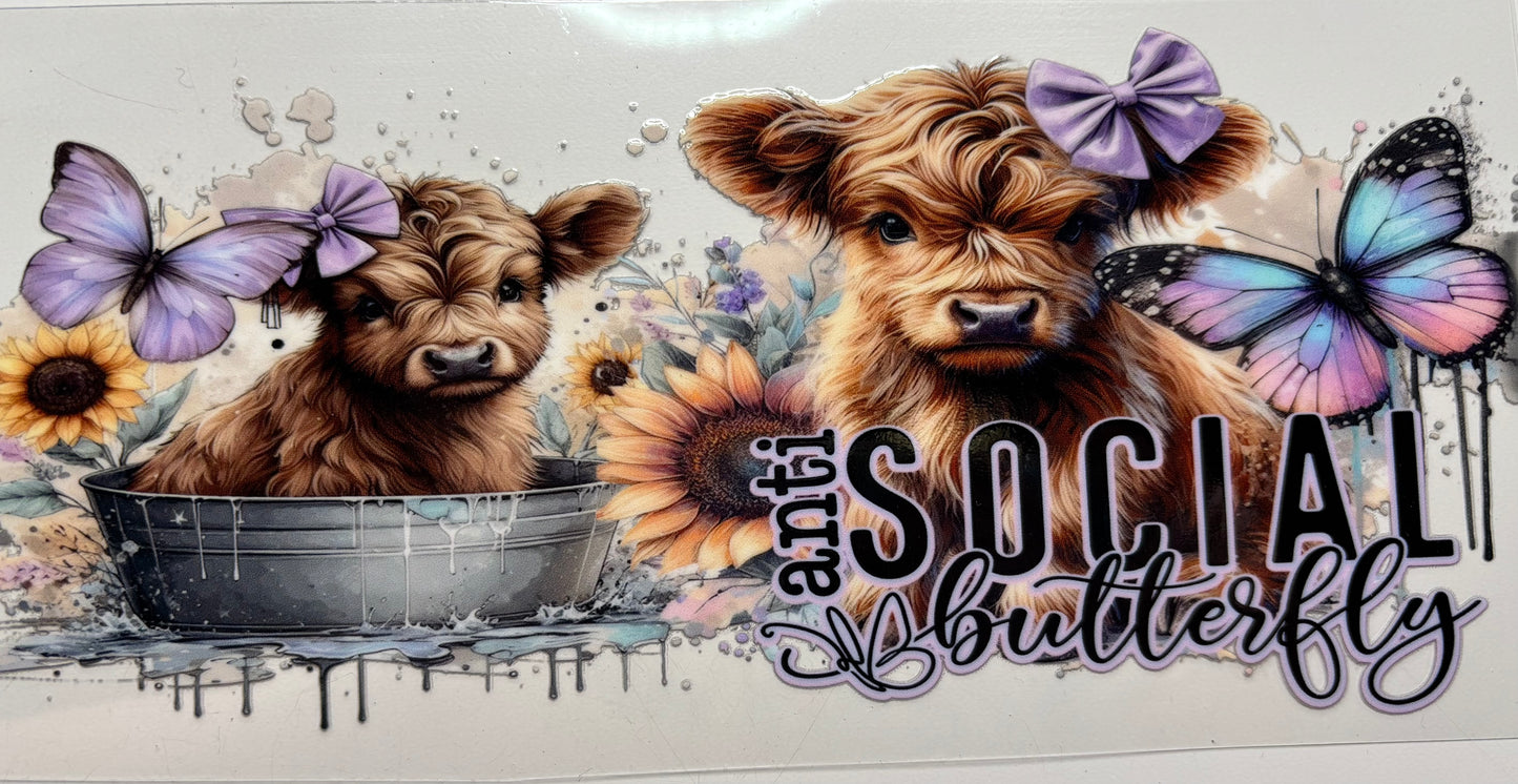 Anti Social Butterfly