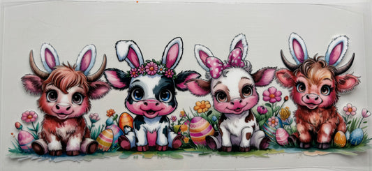 Cows with Bunny Ears