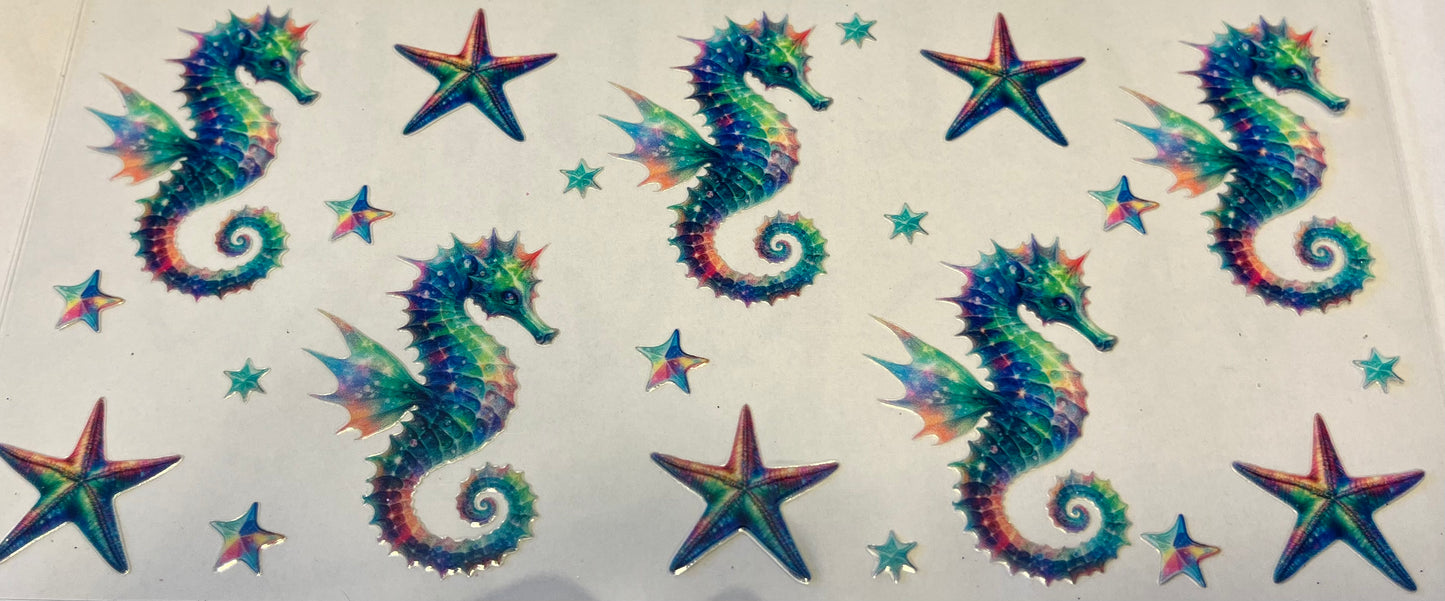 Seahorse and Sea-stars
