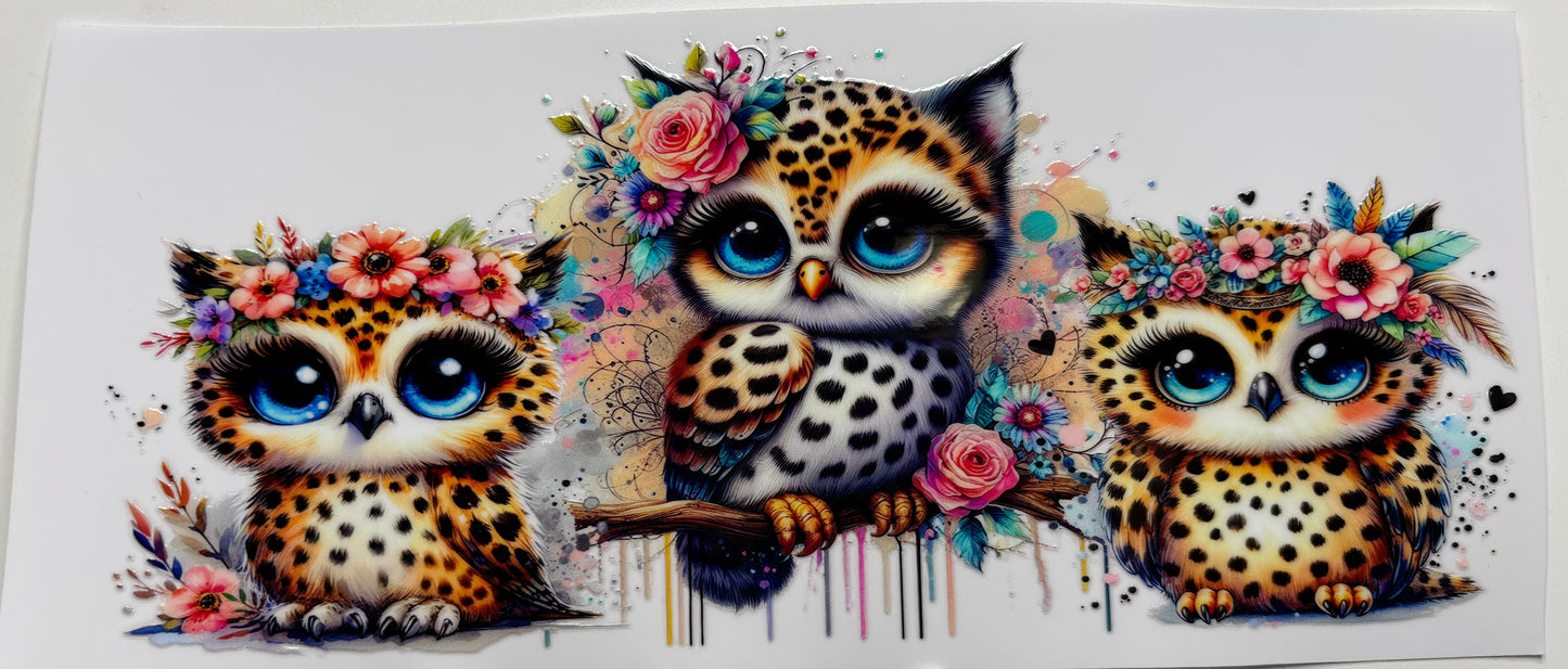 Owls