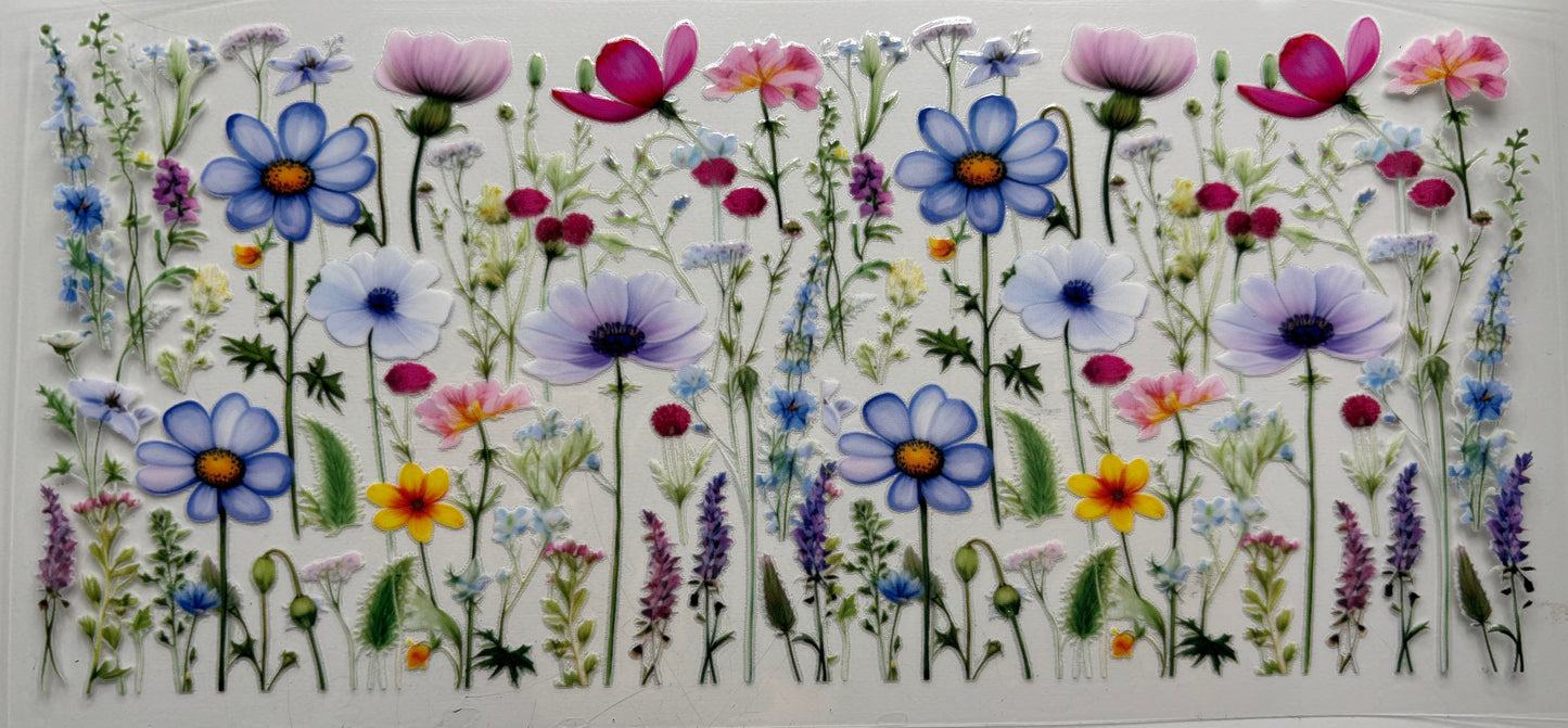 Colorful Flowers
