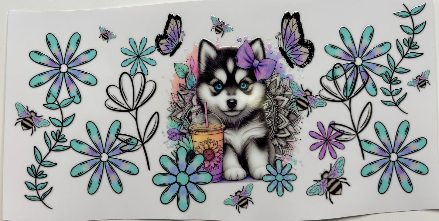 Coffee Husky