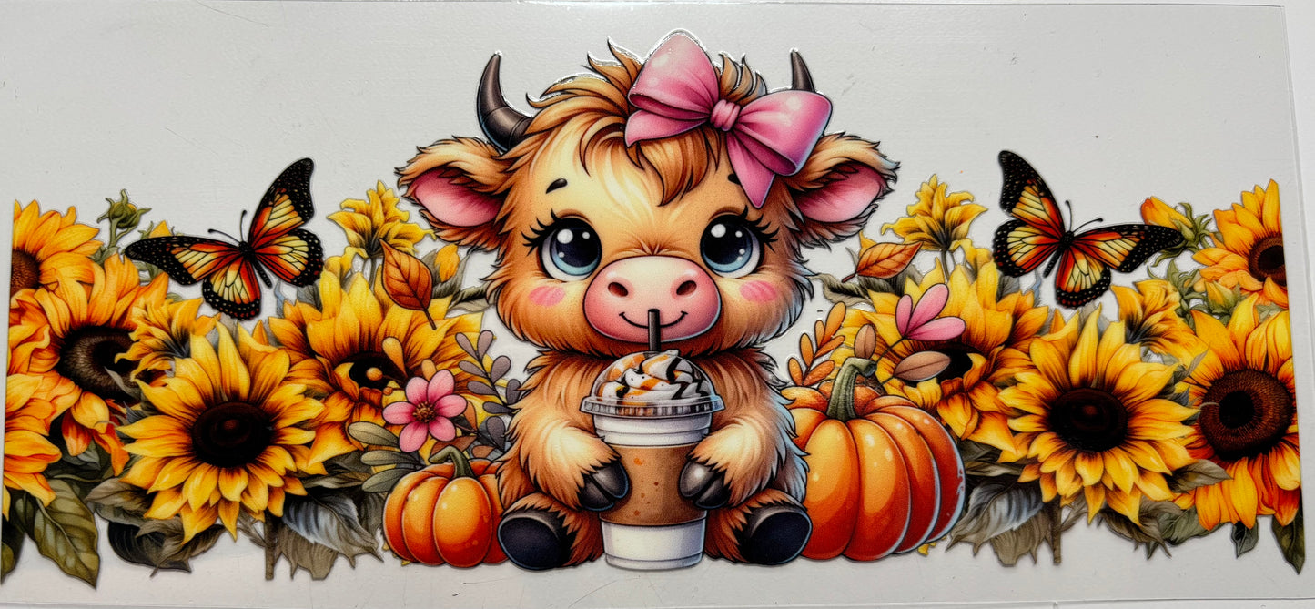 Cow with Pumpkins