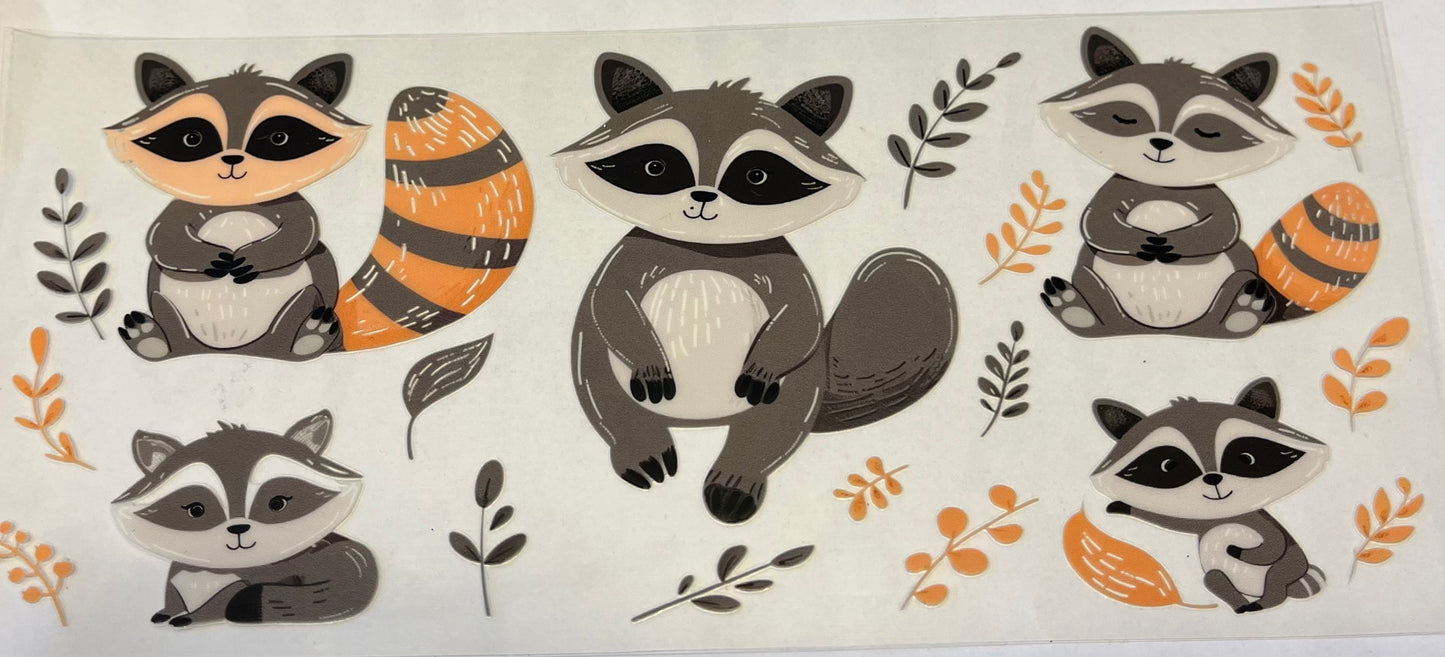 Cute Raccoon