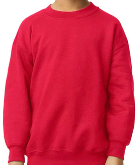 Youth Crewnecks