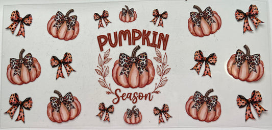 Pumpkin Season and Leopard Bows