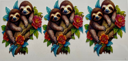 Sloths