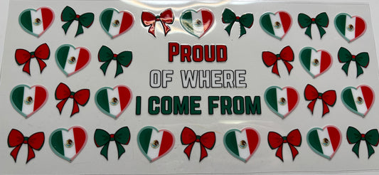 Proud of Where I Come From (Mexico)
