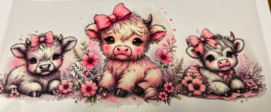 Pink Baby Highland Cow