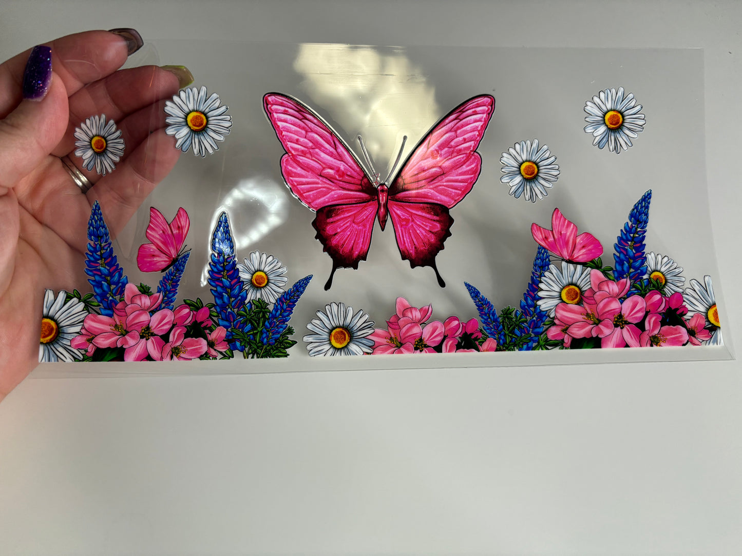 Pink Butterfly