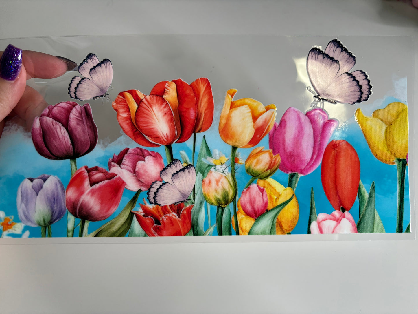 Tulips Butterfly