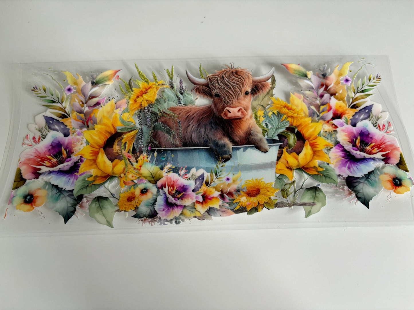 Cow in a Tub