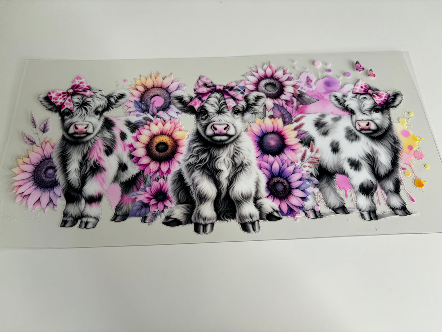 Cows and Flowers