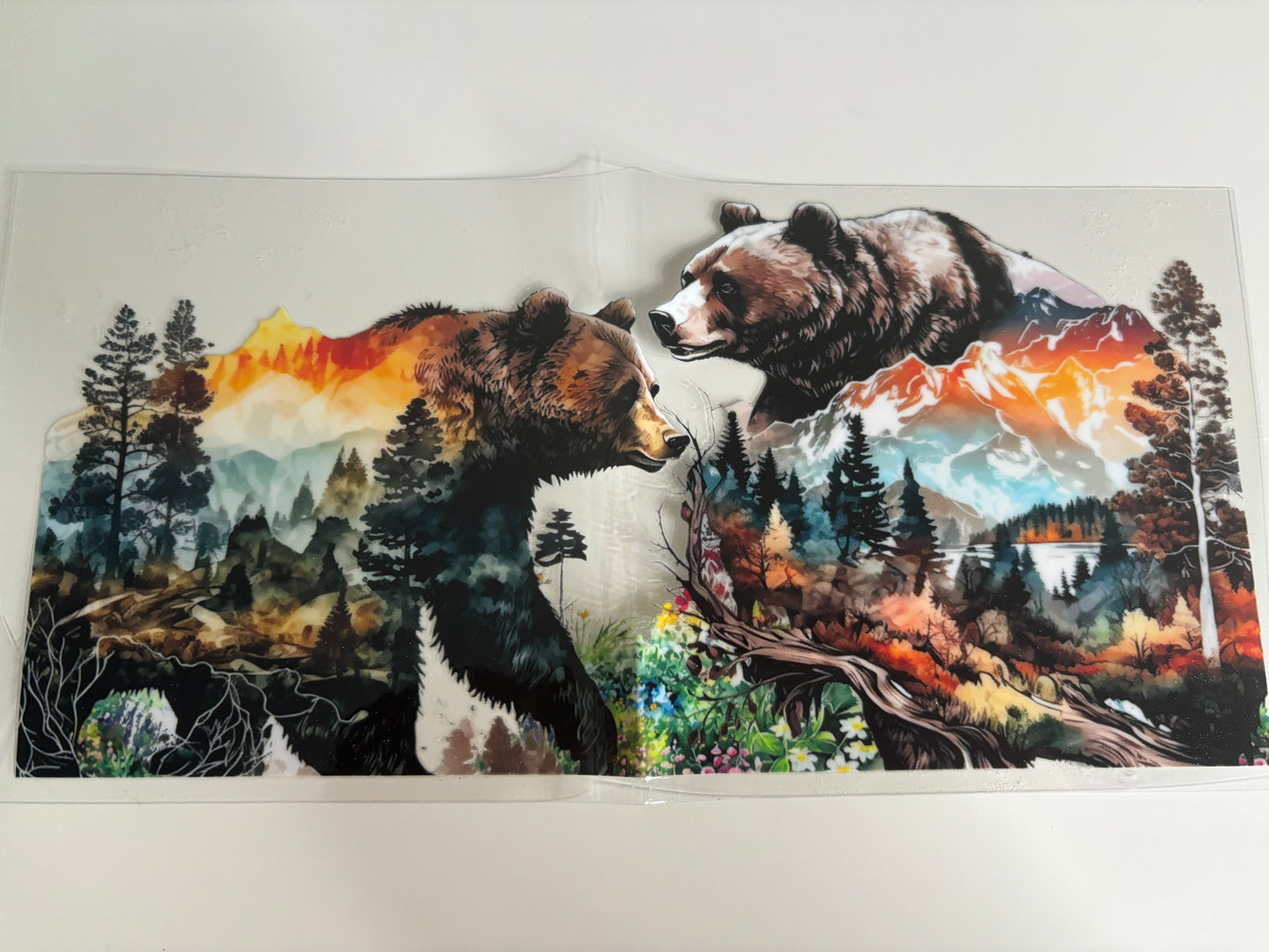 Bears