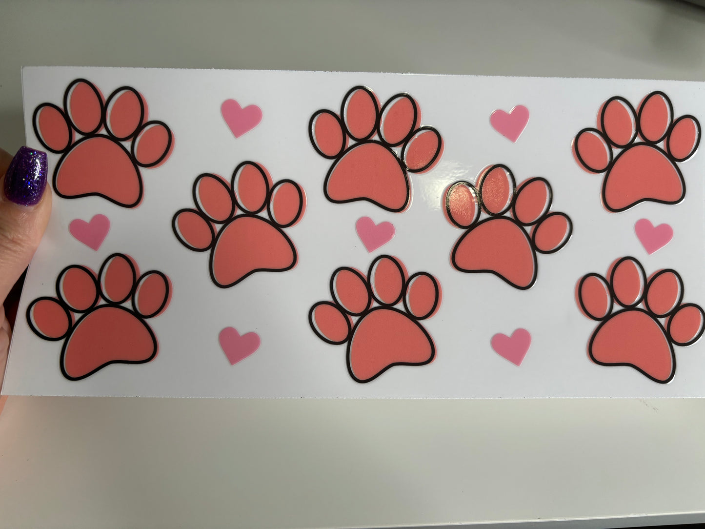 Paw Prints