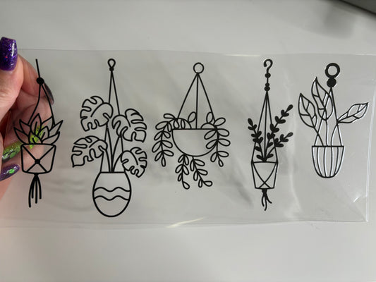 Hanging Plants