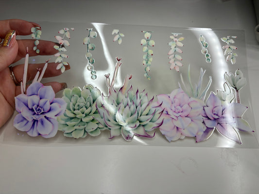 Succulents (pastels)